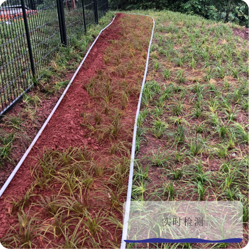 网站-泄漏详情1