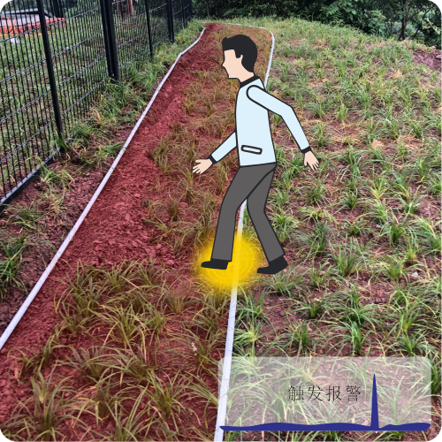 网站-泄漏详情2